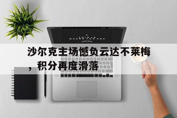沙尔克主场憾负云达不莱梅，积分再度滑落的简单介绍