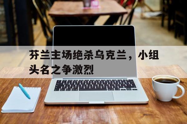 关于芬兰主场绝杀乌克兰，小组头名之争激烈的信息